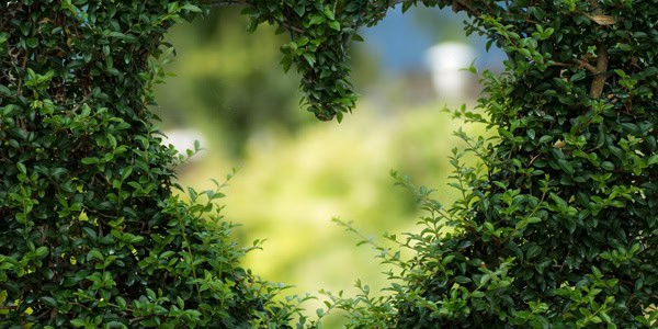 Getting Married in Denmark Your Happy Ending is in sight