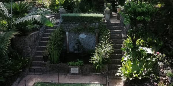 the botanical garden wedding