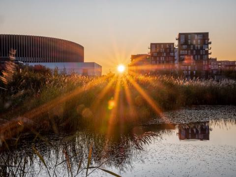 architecture nature and water meet a lovely danish view