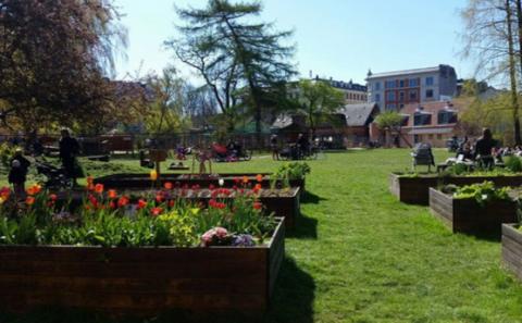 Getting married in Copenhagen