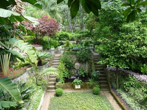 Get married in the Botanical Gardens in Gibraltar - it is stunning!