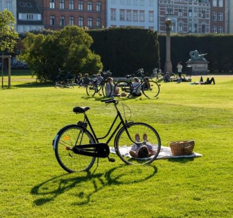 Get married in a Copenhagen City park in summer 2022!