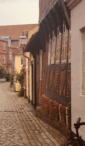 Quick Wedding in Ribe