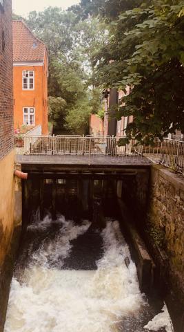 Ribe Wedding