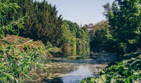 Getting married in Copenhagen