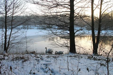 Denmark Winter Wedding