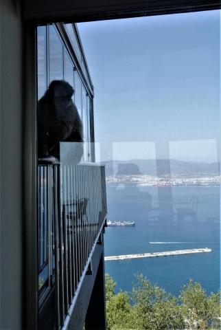Get married on the rock with views and Monkeys