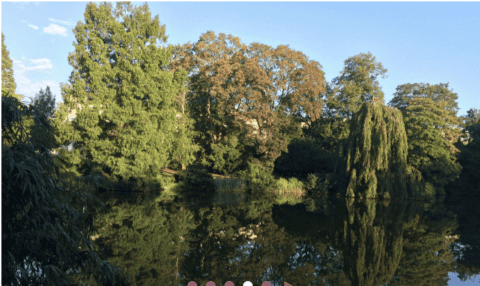 Orstedsparken Gay pride wedding Copenhagen 2021