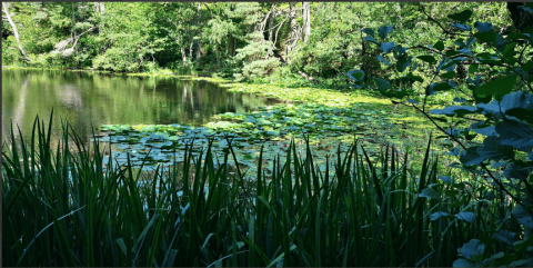 Photo by Leif Sorenson