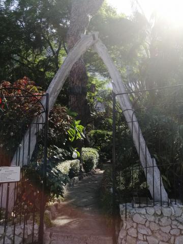 Whale bone arch in the Botanical Gardens!
