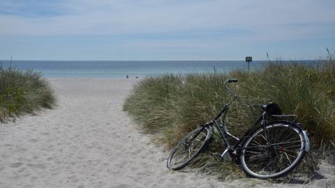 beach weddings in denmark 0