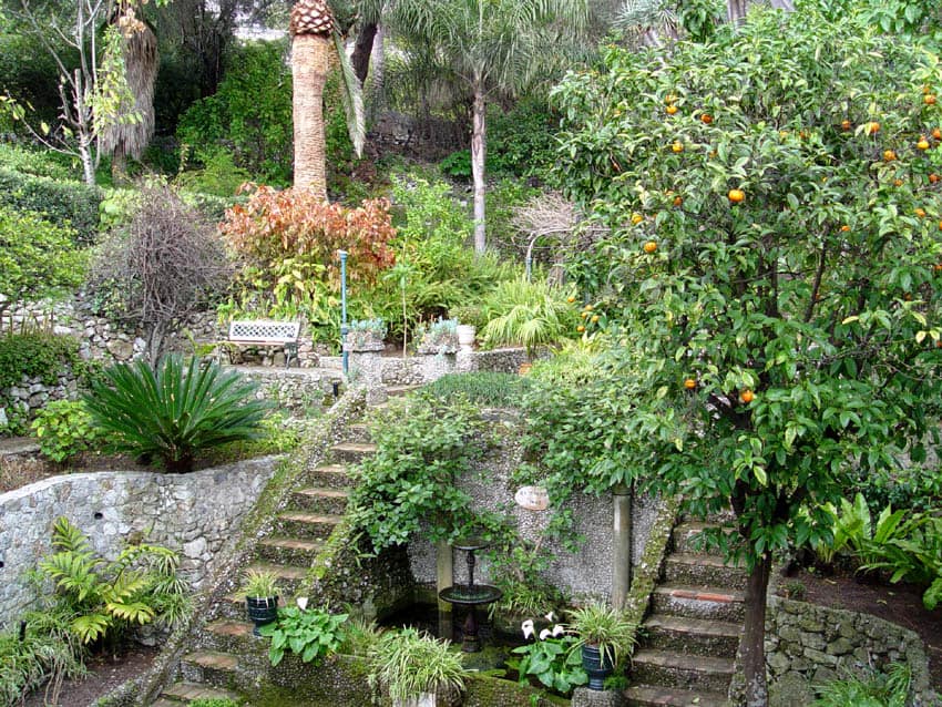 botanical