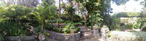 botanical gardens gibraltar 1
