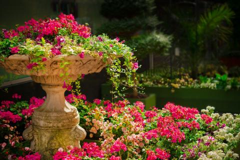 copenhagen botanical gardens is something magical in sight and smell