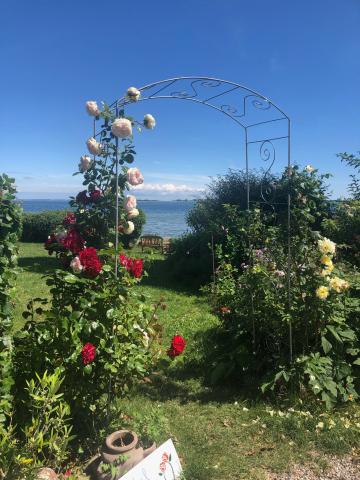 garden wedding aero