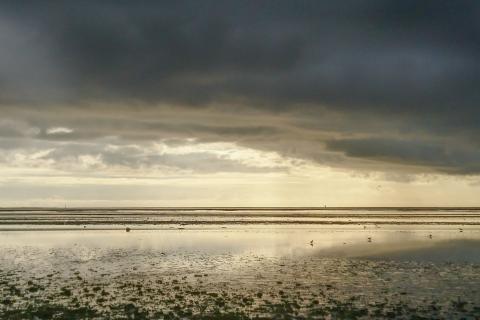 get married in esbjerg