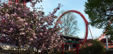 tivoli gardens in copenhagen are incredible for photos