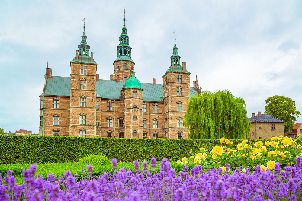 lavender flowerbed in gardens of rosenborg castle in copenhagen,